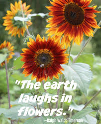 It's no secret that ree drummond loves flowers—especially the purple oklahoma redbuds that come to life on drummond ranch each year. Inspirational Flower Quotes Motivational Sayings With Photos Of Flowers