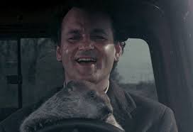 We wouldn't recommend...