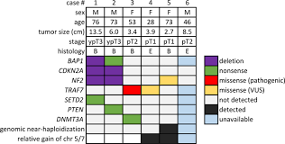 We did not find results for: Molecular Characterization Of Localized Pleural Mesothelioma Modern Pathology