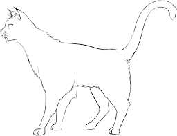 Kedi Pisi Yavru Pixabay Da Ucretsiz Vektor Grafik