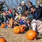 Pumpkin Smash & Bash event image