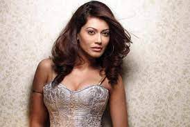 Payal rohatgi biography, age, height, husband, family, wiki & biodata. Payal Rohatgi Wiki Age Height Biography Husband Net Worth World Blaze