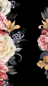 Beautiful Flower With Black Background Iphone Wallpaper Lock Home Screen Flower Iphone Wallpaper Black Background Wallpaper Floral Wallpaper