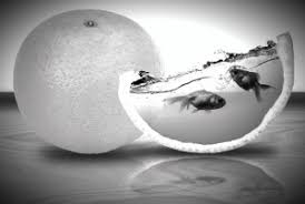 Ruyada Kaynanayi Yatakta Gormek Hayirli Ruyalar