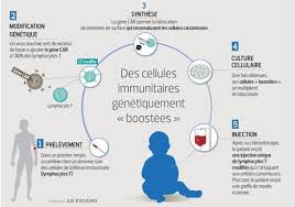 Manger de l'avocat pourrait réduire le risque de leucémie aiguë myéloïde. Leucemie Deux Bebes Gueris Par Un Nouveau Traitement