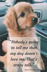Of Course Your Dog Loves You Always Dogquotes Dogs Dog Quotes Puppy Quotes