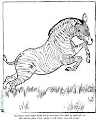 Zoo Coloring Pages Zoo Coloring Pages Zebra Coloring Pages Zoo Animal Coloring Pages