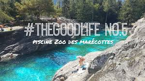 The Good Life No 5 Vlog Piscine Zoo Des Marecottes Youtube