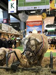 En tout, 633 213 personnes l'ont visité. Mon Salon De L Agriculture 2019 Avec La Bourgogne Franche Comte Le Blog De Lili