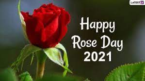 Red roses wallpaper 2021 pics. Rose Day Images Hd Wallpapers For Free Download Online Wish Happy Rose Day 2021 With Whatsapp Stickers Gif Greetings Flower Photos And Quotes Latestly