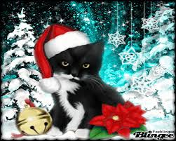 Résultat de recherche d'images pour "gif soirée chat noel"