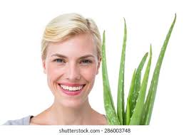 2+ Thousand Woman Aloe Holding Plant Royalty-Free Images, Stock Photos &  Pictures