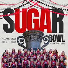 University of Georgia Flagline