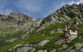 Dagelijks bijgewerkte informatie over de toegankelijkheid van alpenpassen en alpenwegen in oostenrijk. Naar Italie Alternatieve Autoroutes Via Oostenrijk Via Zwitserland Brennerpas Gotthardtunnel Sint Bernardtunnel Winterbanden