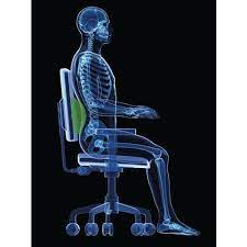 We did not find results for: Coussin Lombaire Pour Siege De Bureau Demi Lune Manutan Be
