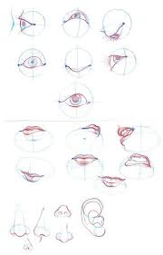 The height of these sections is also equal to the height of the face of the subject. Tutorial On How To Draw Human Mouth Human Drawing Art Drawings Drawings