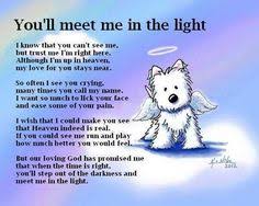  22 Rainbow Bridge Quotes Ideas In 2021 Rainbow Bridge Pet Loss Grief Dog Poems