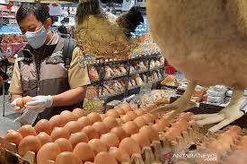 We did not find results for: Pakar Minta Ada Evaluasi Regulasi Mengenai Prediksi Bibit Ayam Petelur Antara News Sumatera Selatan