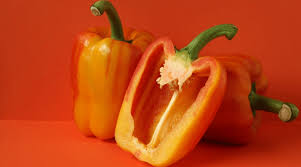 Jun 14, 2021 · while it takes anywhere from 120 to 150 days to grow and harvest bell peppers from a seed, there are some things you can do to make sure your harvest is at the low end of that range. How To Grow And Harvest Bell Peppers At Home