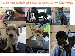 Veterinarians.com provides updated information on pet grooming in tucson, az. Aussie Pet Mobile Lake Norman North Charlotte Posts Facebook
