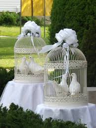 Dove Gallery See Weddings And Funeral Releases Wedding Doves White Doves Disney Wedding Theme