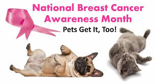 Most of the signs of breast cancer are related to the tumors themselves and are located on one of the eight to ten mammary glands present on most female canines. Pet Breast Cancer National Breast Cancer Awareness Monthamy Shojai S Bling Bitches Blood