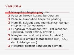 Hewan dan tumbuhan ialah 2 jenis klasifikasi makhluk hidup yang sering kita jumpai di sekitar kita. Perbedaan Sel Tumbuhan Dan Hewan Ppt Download