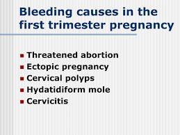 Image result for First Trimester Bleeding