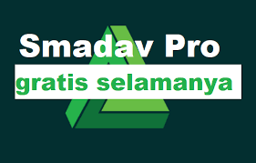 Download Serial Key Untuk Smadav Pro Berlaku Selamanya Update 2020 Endo Sadewa