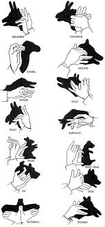 How To Make Animal Shadows With Your Hands Hand Shadows Shadow Puppets Shadow