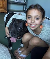 Adopting a friendly 3-year-old Yorkie in Pennsylvania