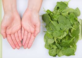 Of course, if you eat large spinach salad every day, you can easily up the amount of fiber you're able to consume in one sitting. Handy Guide To Portion Sizes Never Know How Much Food Is Too Much Use Our Formula To Figure Out The Right Amount To Eat Daily Mail Online