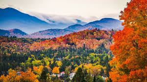 Fall