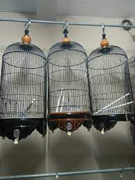 Pusat jual beli laptop di sidoarjo dan sekitarnya. Sedia Berbagai Jenis Sangkar Jual Beli Sangkar Burung Facebook