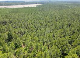 Milton Waters Rd, Nicholls, GA 31554