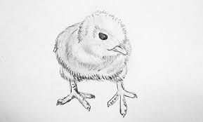 People commonly say the eyes are the window to the soul, so if you are drawing a person, it is vital you get the eyes right. Review Of How To Draw Cool Stuff Art Workbooks