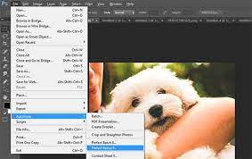 Learn how to resize images to make them larger without losing quality in photoshop and gimp. How To Resize And Make Images Larger Without Losing Quality