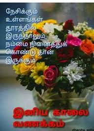 25 Tamil Good Morning Ideas In 2021 Good Morning Images Good Morning Good Morning Quotes Tamil film dialogue stickers with images for whatsapp, facebook, tweeter, hike etc. 25 tamil good morning ideas in 2021