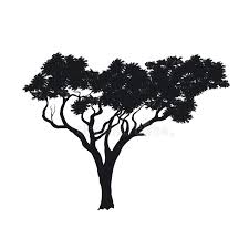 We did not find results for: Silhouette Tree Acacia Stock Illustrations 1 181 Silhouette Tree Acacia Stock Illustrations Vectors Clipart Dreamstime