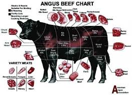 52 paradigmatic beef retail cuts chart