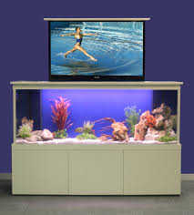 This is a larger piece so consider your tank size before purchasing. Think Again 20 Unusual Places In Your Home For Fish Tanks