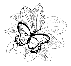 Printable butterflies coloring page to print and color for free. Butterfly Coloring Pages Kids Coloring Home