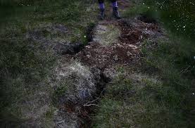 Even though on a cold day stordalen mire appears silent and lifeless, there is so much life everywhere with birds, insects, an impressive diversity of plants, rodents moose and reindeer, and everything is interconnected. The Climate Hunters