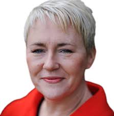 Are you an aspiring or newly-appointed chief executive? Do you want to help  the next generation of chief executives?