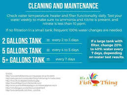 Self Cleaning Betta Tank 7 Better Safer Options For Your Betta Betta Fish Care Fish Care Betta Fish