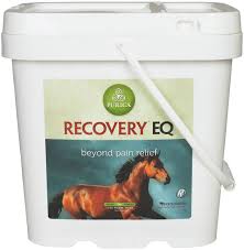 Recovery Eq Joint Supplement For Horses Purica Powdered