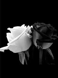 Chess Photography Photographs Chess Photography In 2020 Black And White Roses Black And White Aesthetic Black And White Flowers