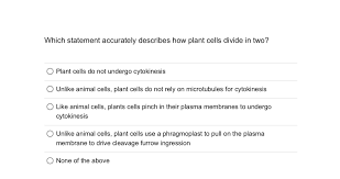 Maybe you would like to learn more about one of these? Which Statement Accurately Describes How Plant Cells Chegg Com