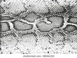 Check spelling or type a new query. Snake Skin Scale Brushes Photoshop Brushes