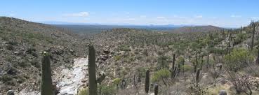 Tanque Verde